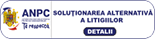 Solutionarea Online a Litigiilor
